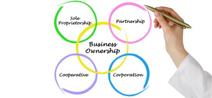 Demystifying Ownership Structures: A Comprehensive Guide