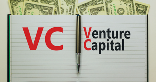 #8 – VCs Lean Towards Certain Startup Types