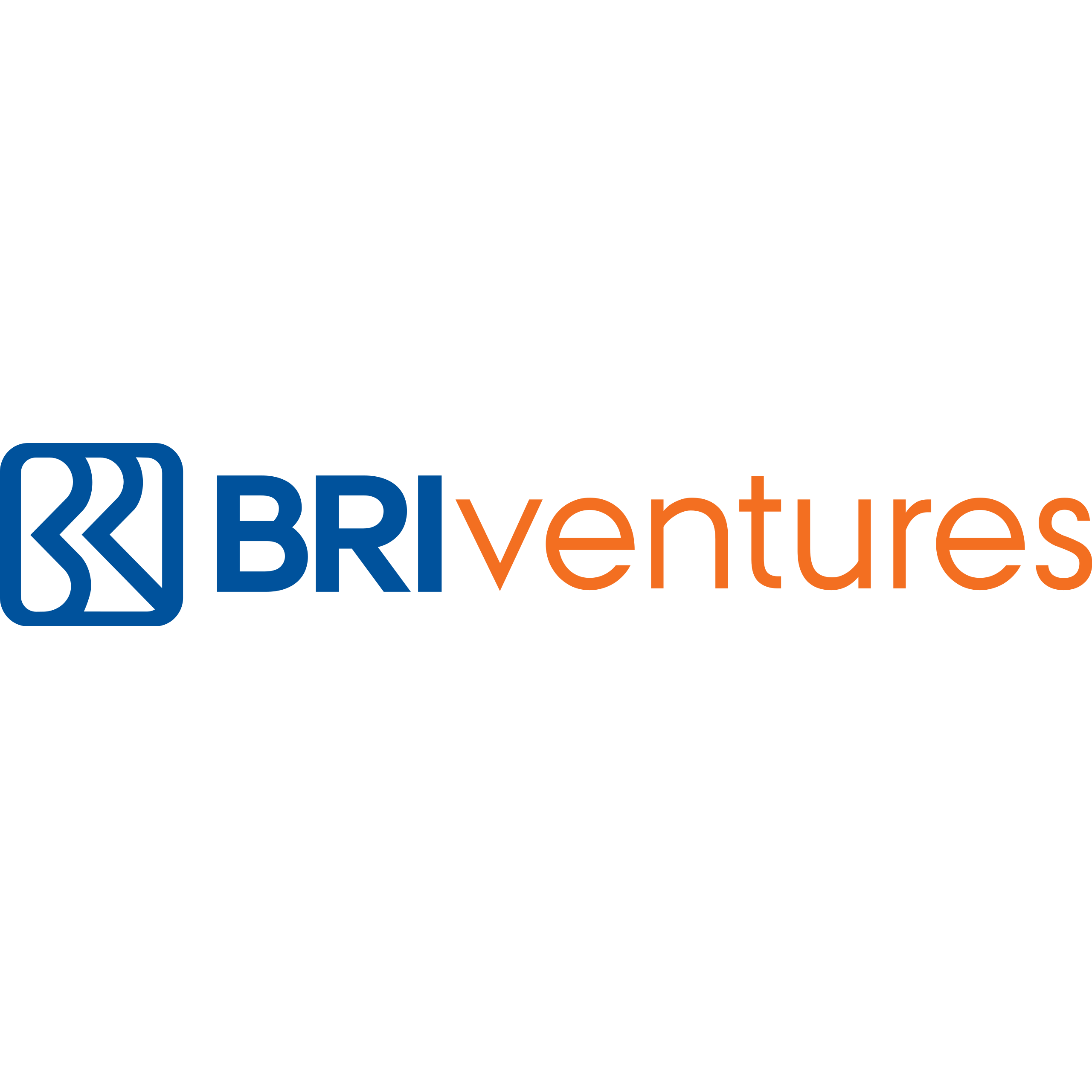 BRI Ventures Logosq